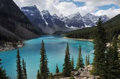 Alberta Web Design